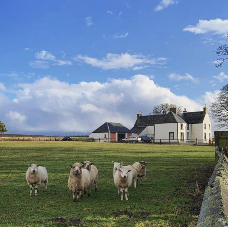 Tarrel Farmhouse Portmahomack Buitenkant foto